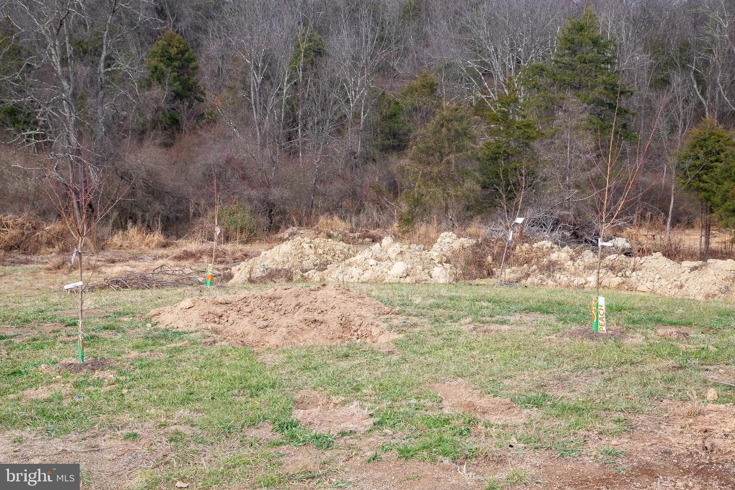 1101 Beaver Run Road photo 36