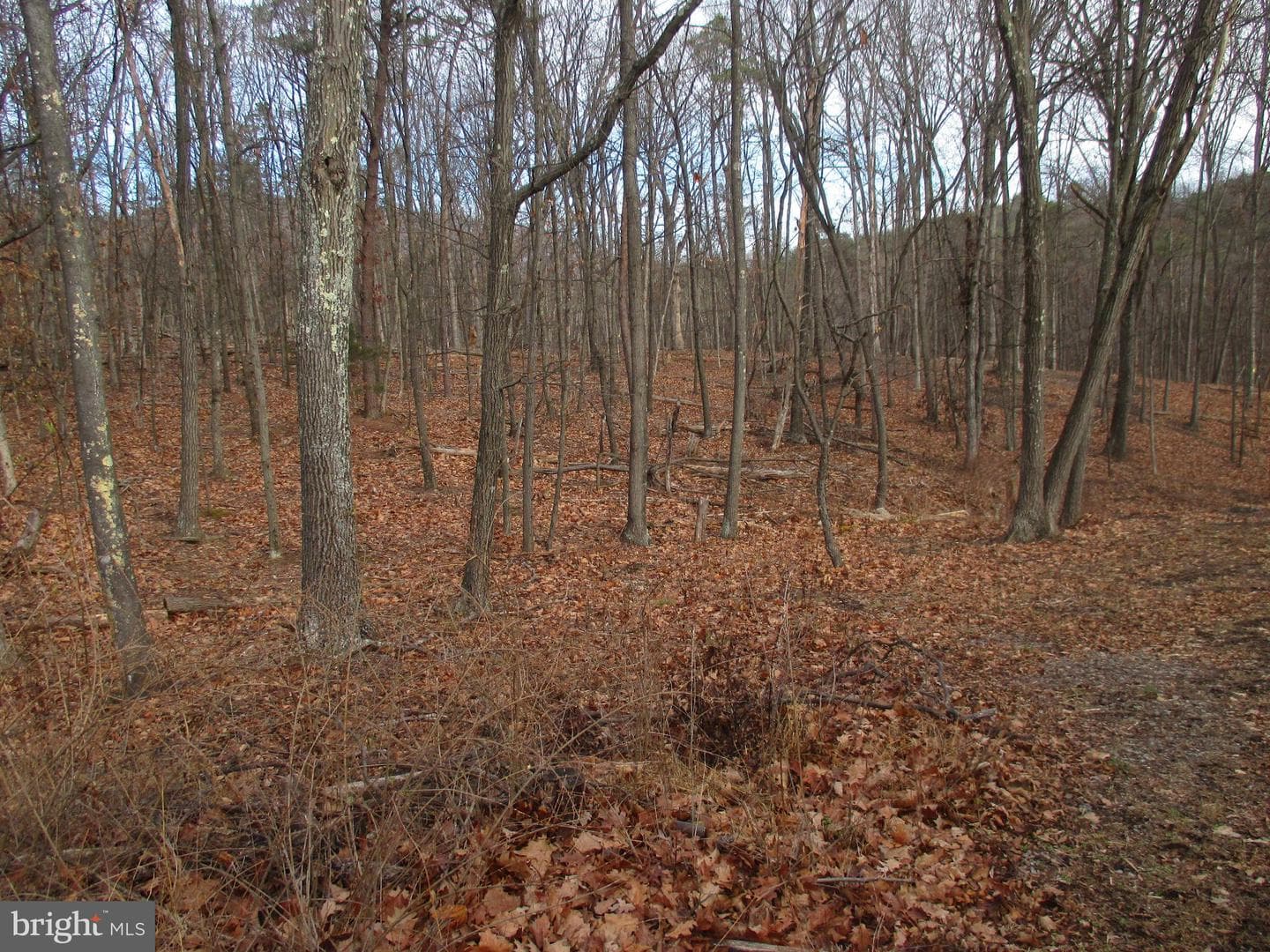 101 Howdyshell Hill Road photo 4