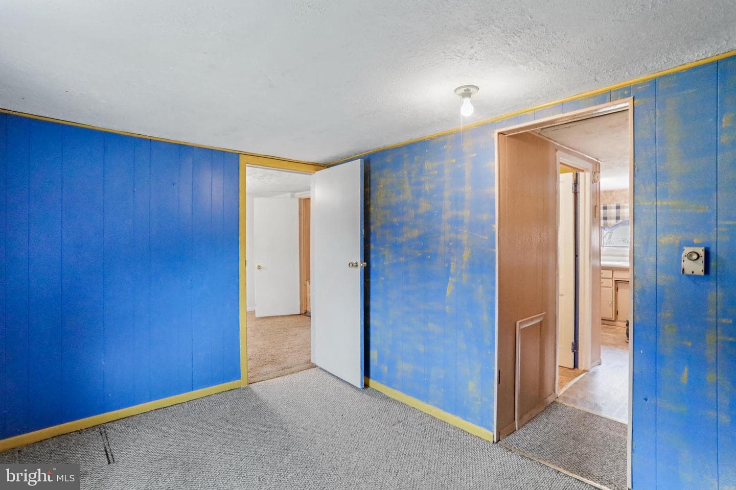 48 Wayland Drive photo 20