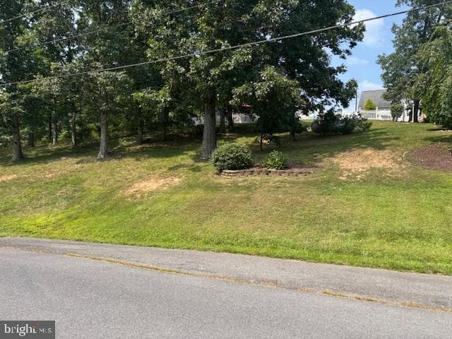 298 Leon Drive photo 27