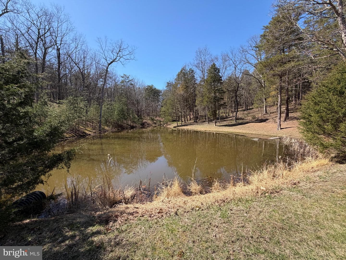 563 Valley Forge Lane photo 100