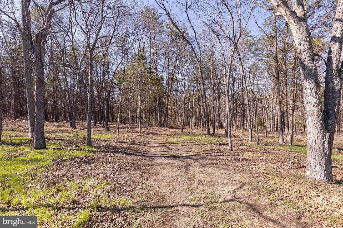 563 Valley Forge Lane photo 99