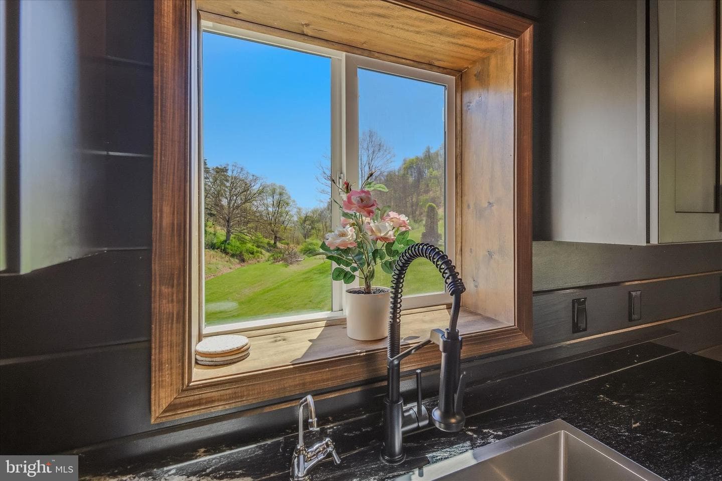 347 Meadow Valley Place photo 15