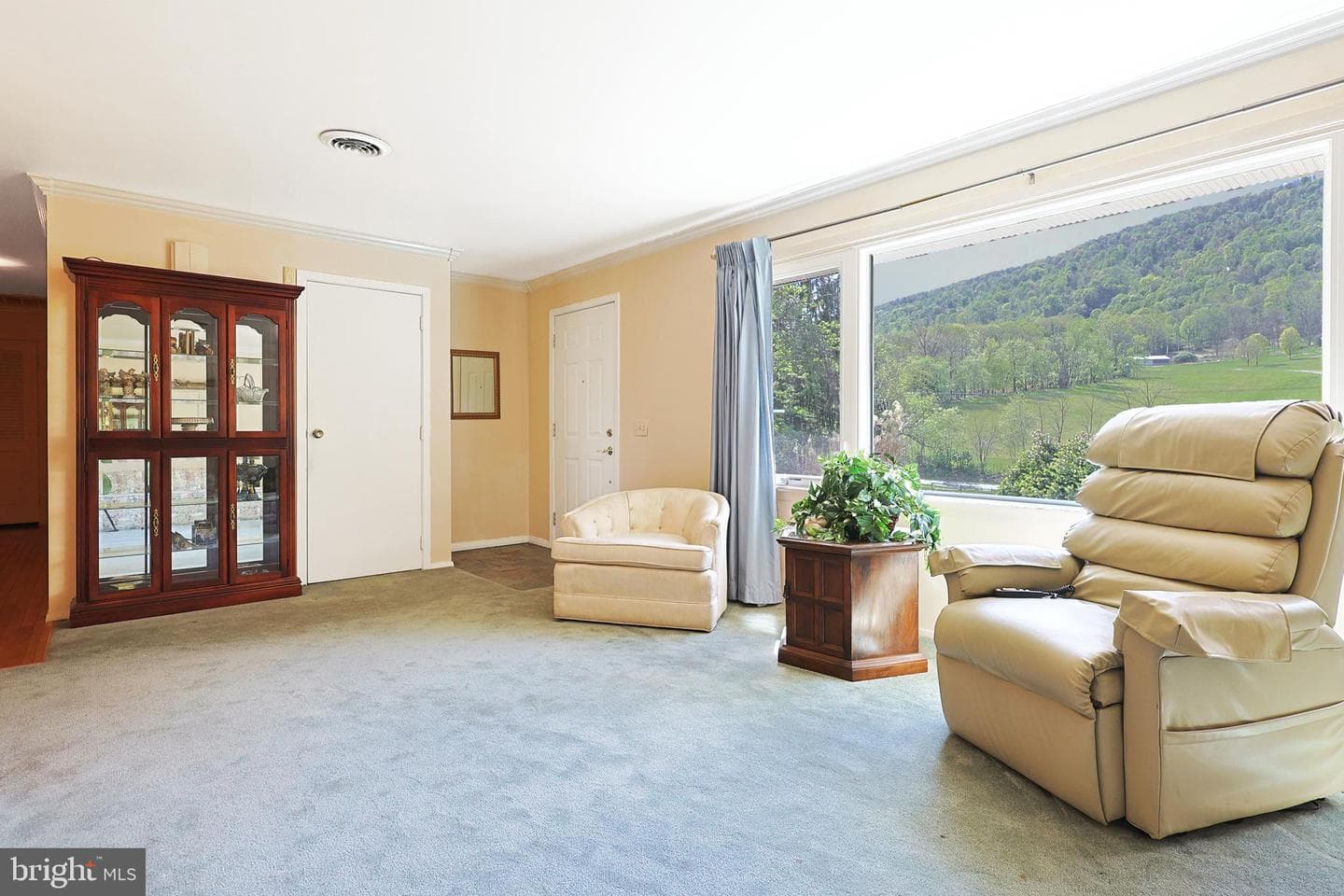 7977 Knobley Road photo 15