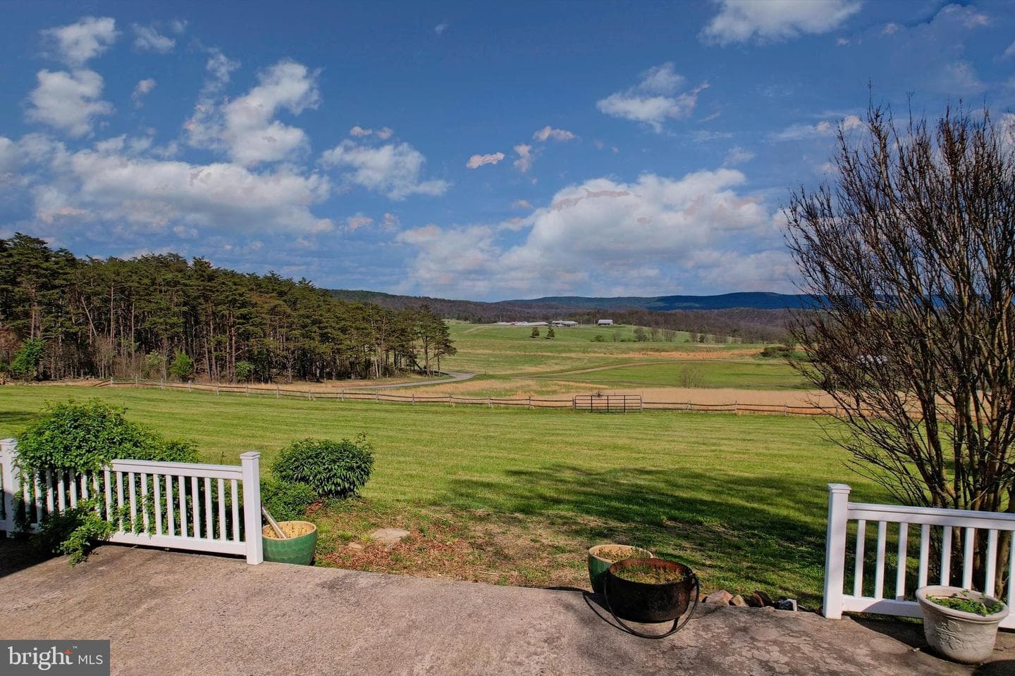 7977 Knobley Road photo 9