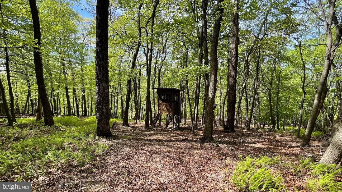 133.944 Acres Russelldale Road photo 16