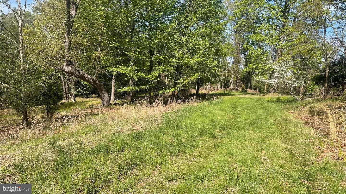 133.944 Acres Russelldale Road photo 17