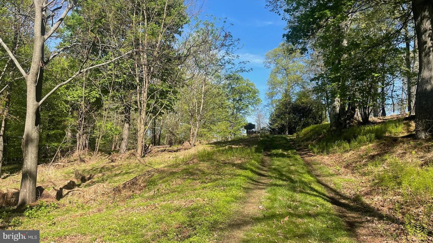 133.944 Acres Russelldale Road photo 18