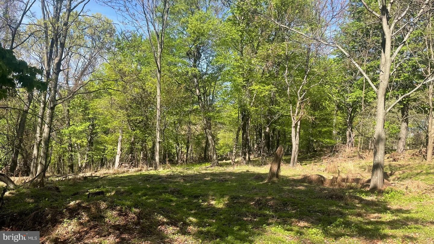 133.944 Acres Russelldale Road photo 19