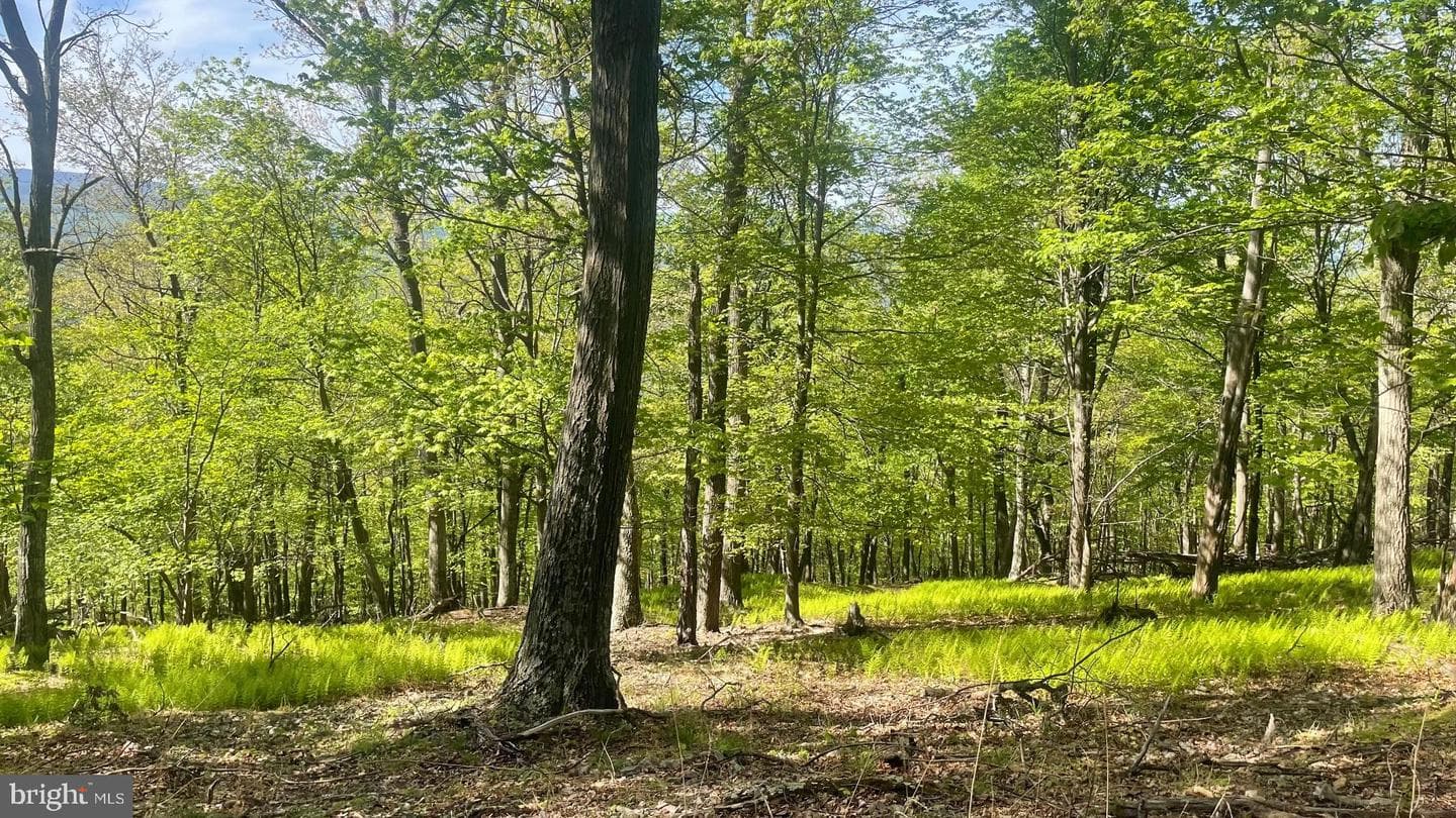 133.944 Acres Russelldale Road photo 20