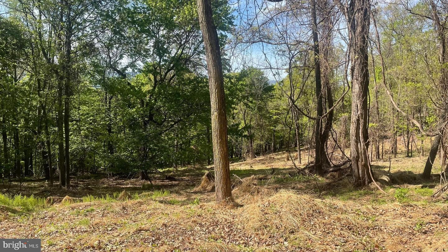 133.944 Acres Russelldale Road photo 21