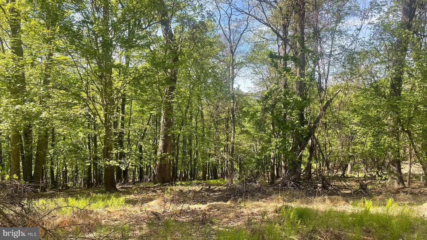 133.944 Acres Russelldale Road photo 22