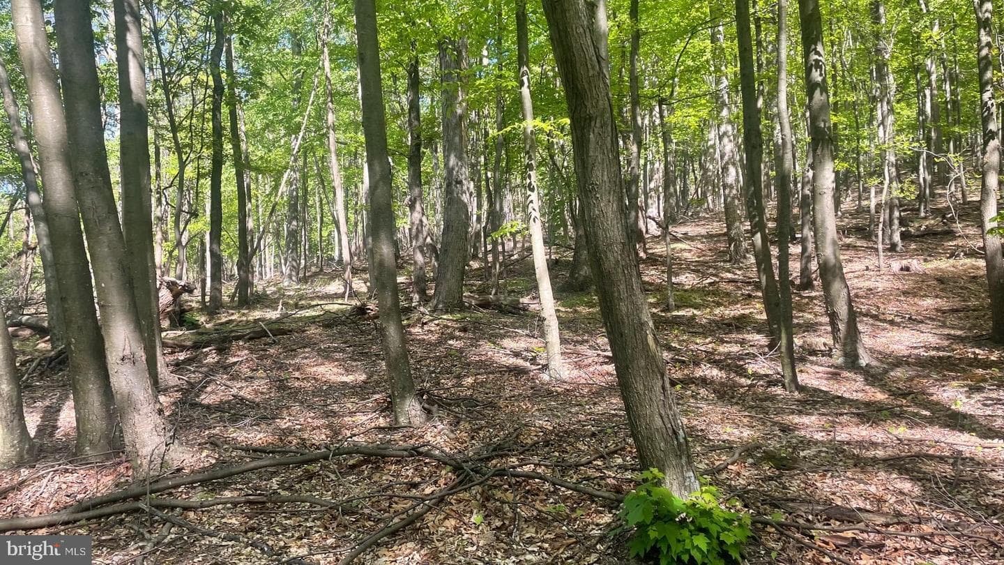 133.944 Acres Russelldale Road photo 23