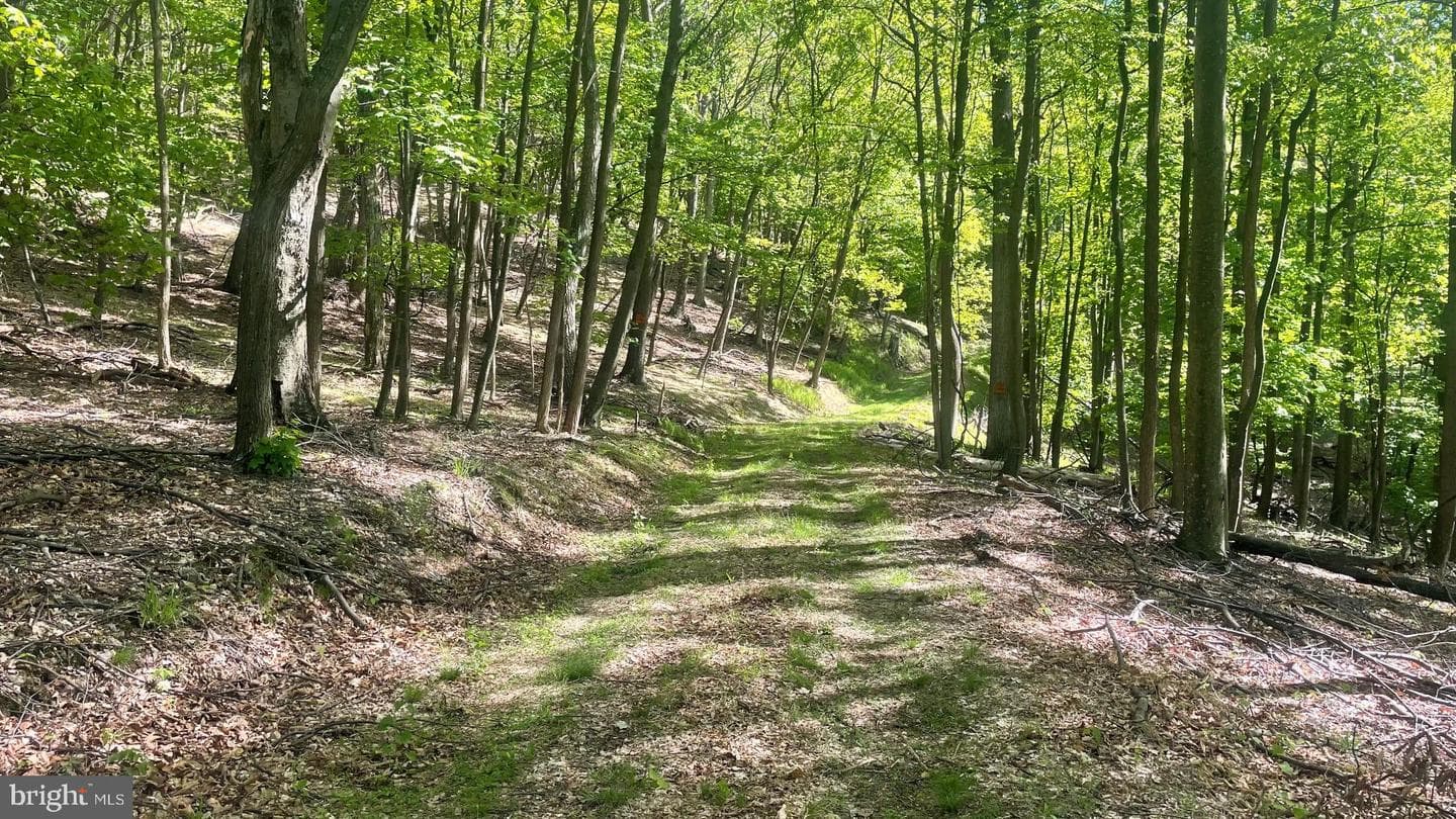 133.944 Acres Russelldale Road photo 24