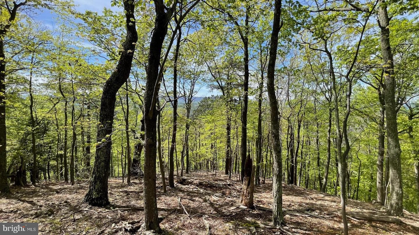 133.944 Acres Russelldale Road photo 25
