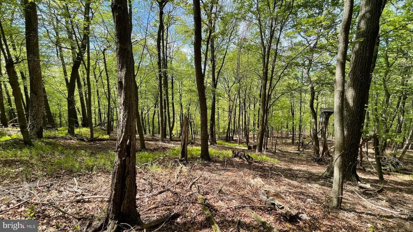 133.944 Acres Russelldale Road photo 26