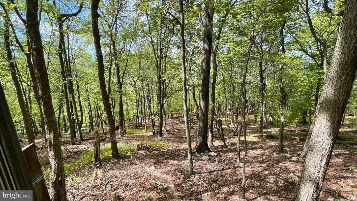 133.944 Acres Russelldale Road photo 27