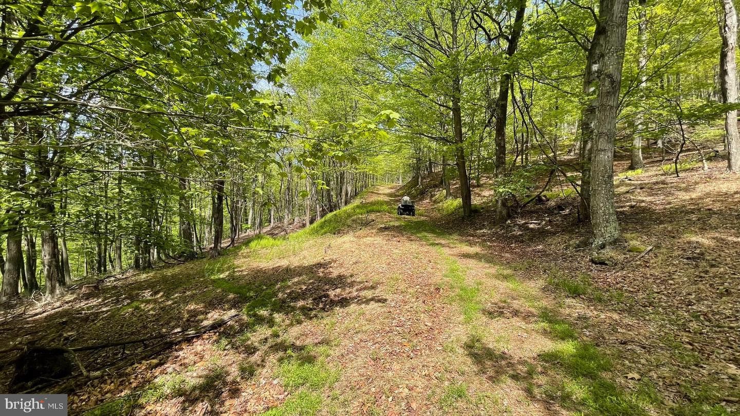133.944 Acres Russelldale Road photo 30