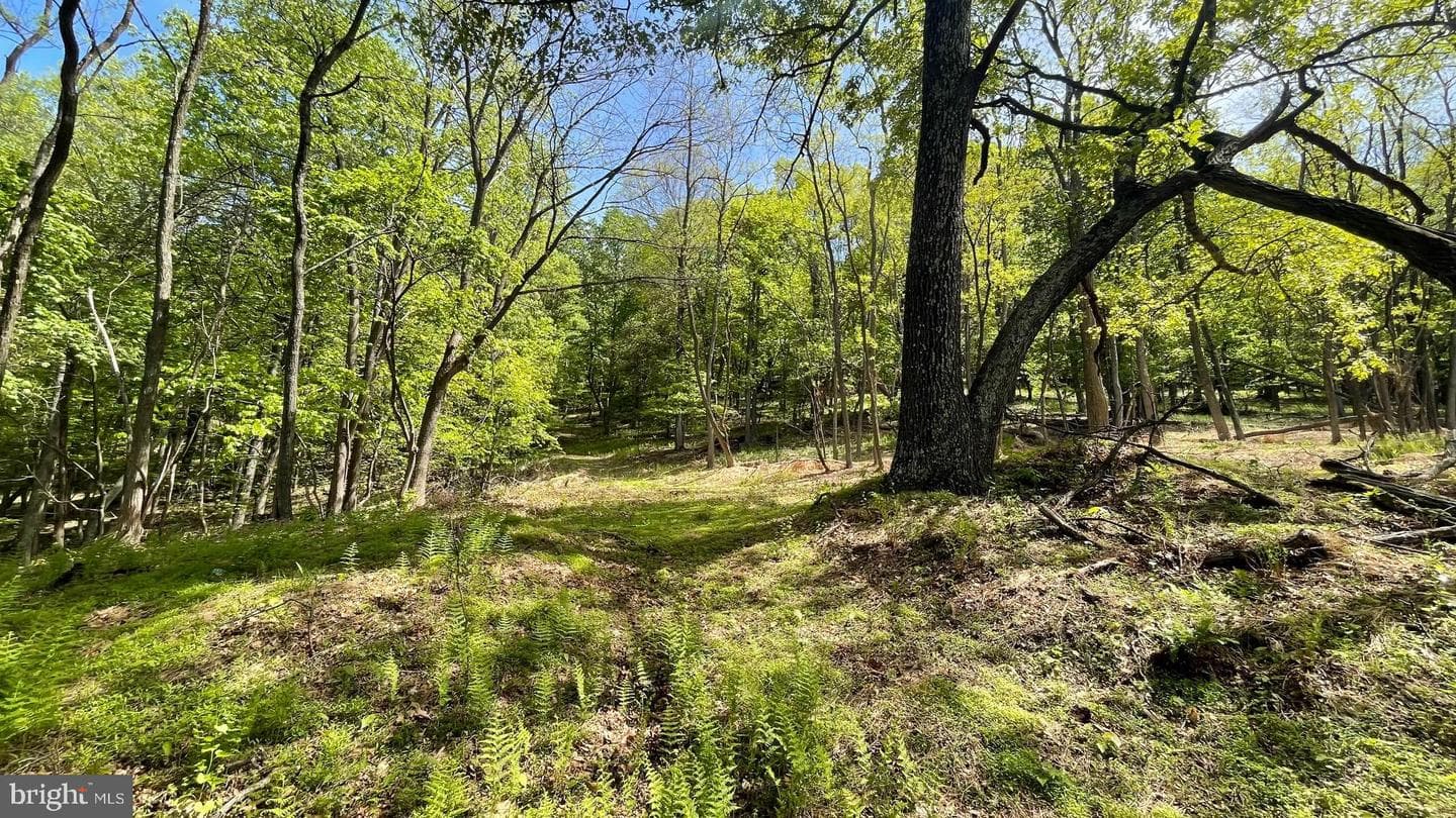 133.944 Acres Russelldale Road photo 32