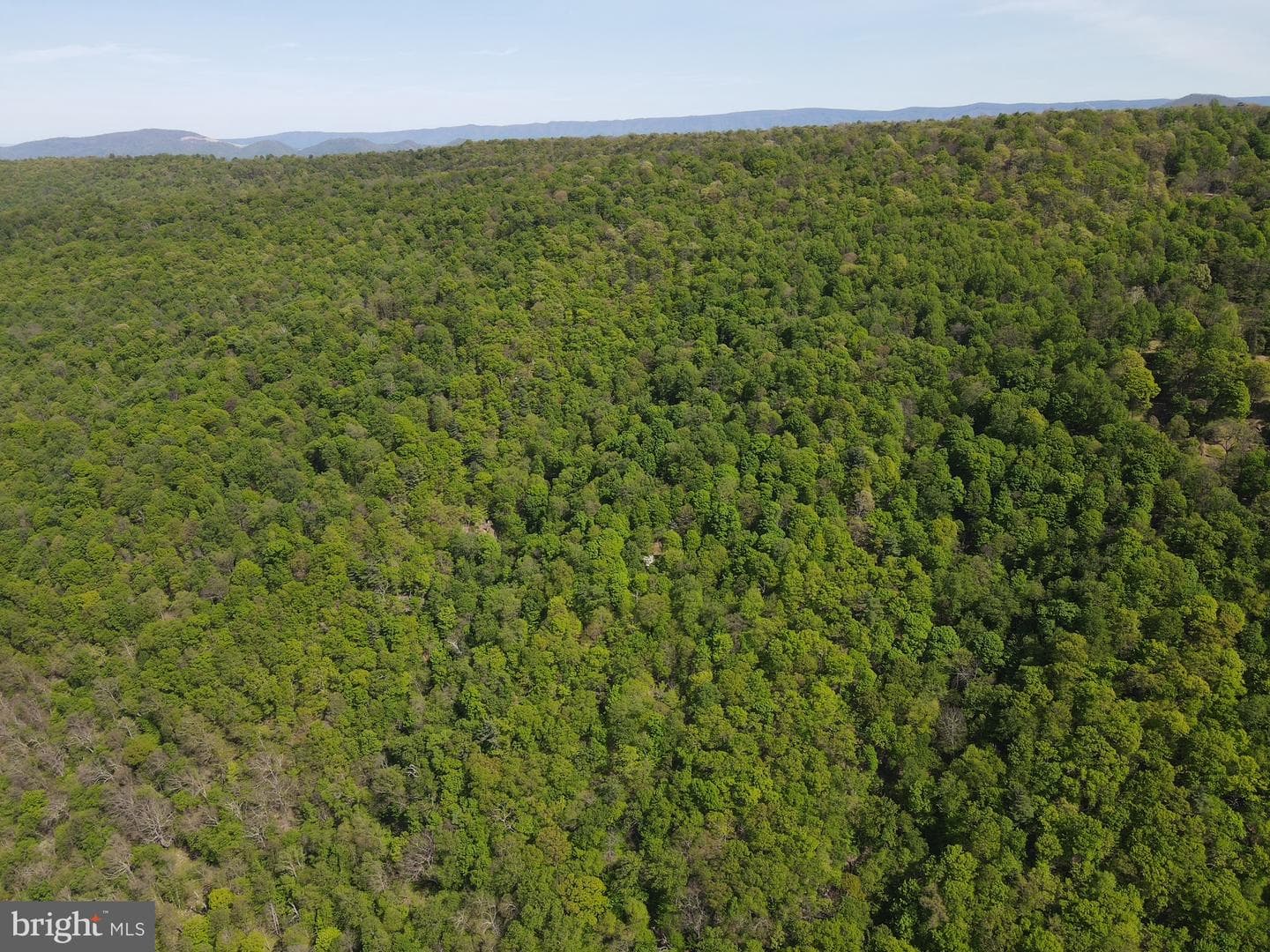 133.944 Acres Russelldale Road photo 33