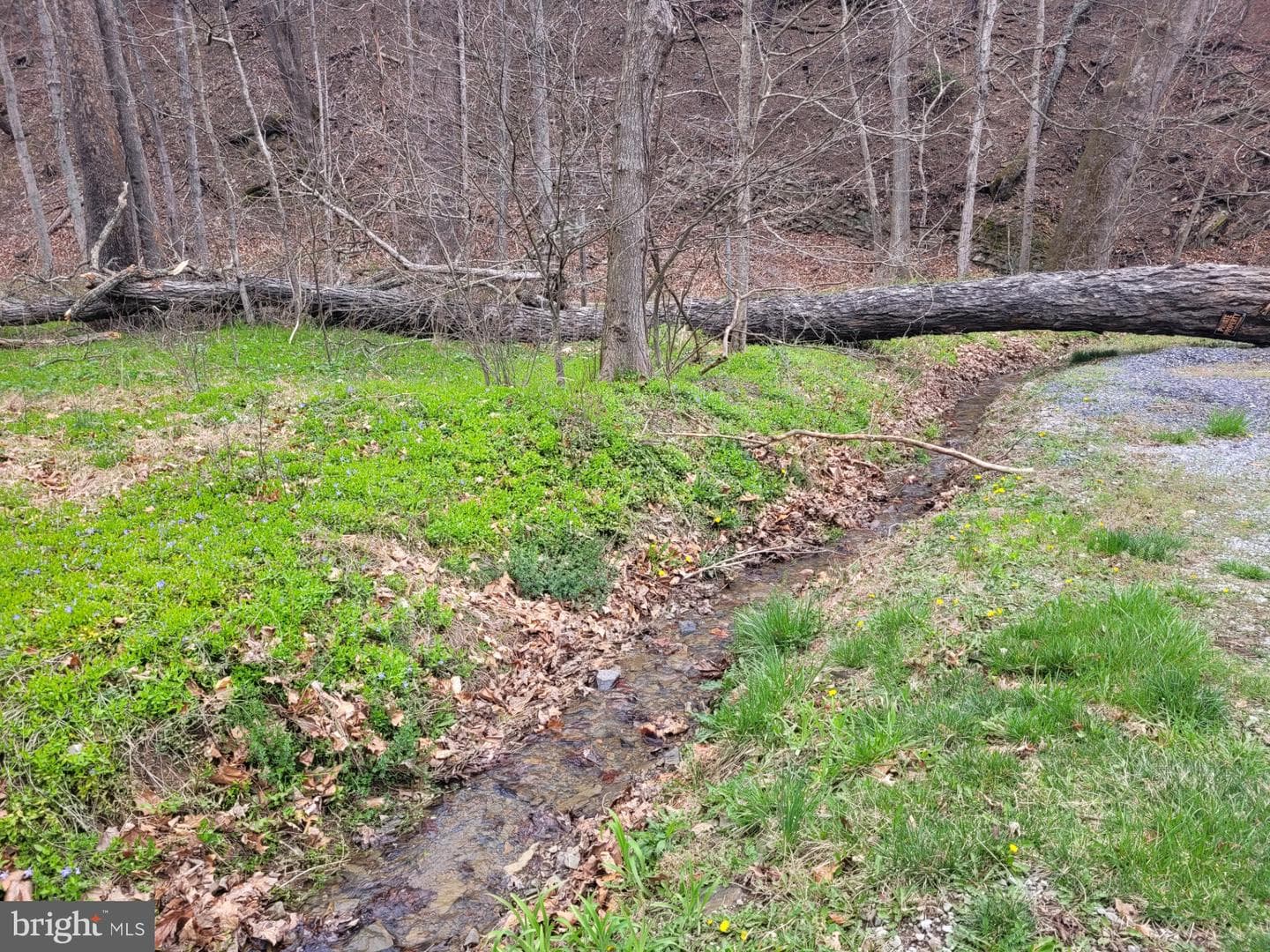 1224 Dry Run Road photo 29