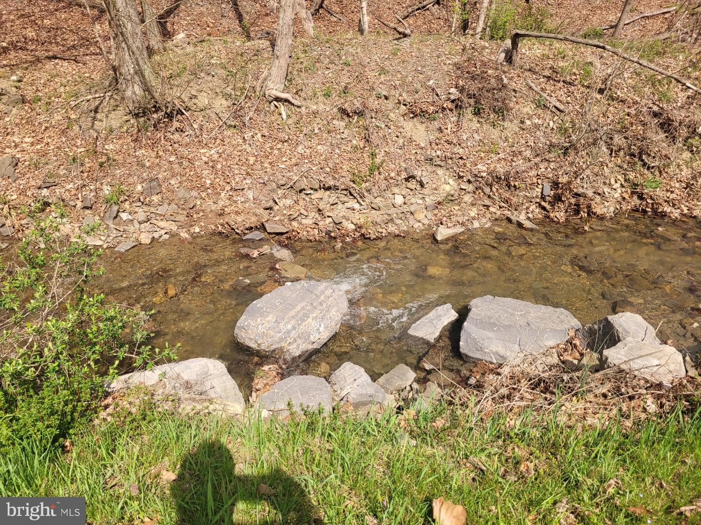 1224 Dry Run Road photo 37
