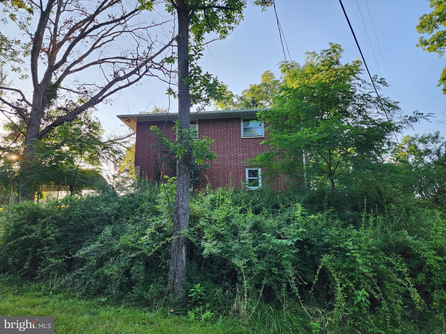 4549 Georges Run Road photo 18