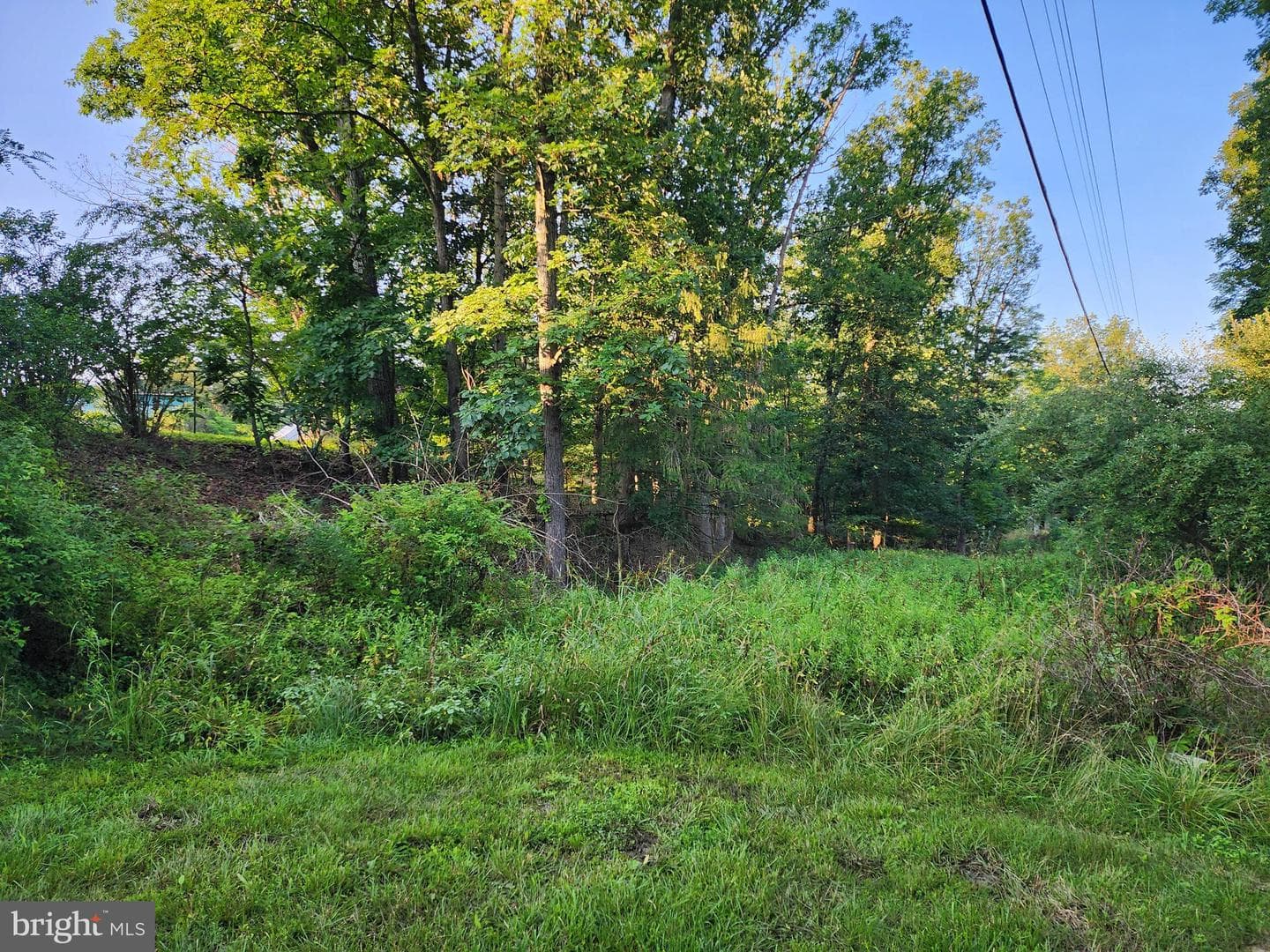 4549 Georges Run Road photo 19