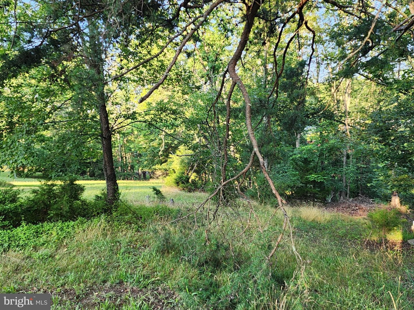 4549 Georges Run Road photo 20