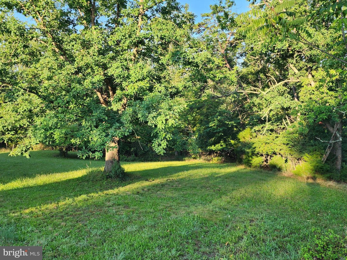 4549 Georges Run Road photo 22