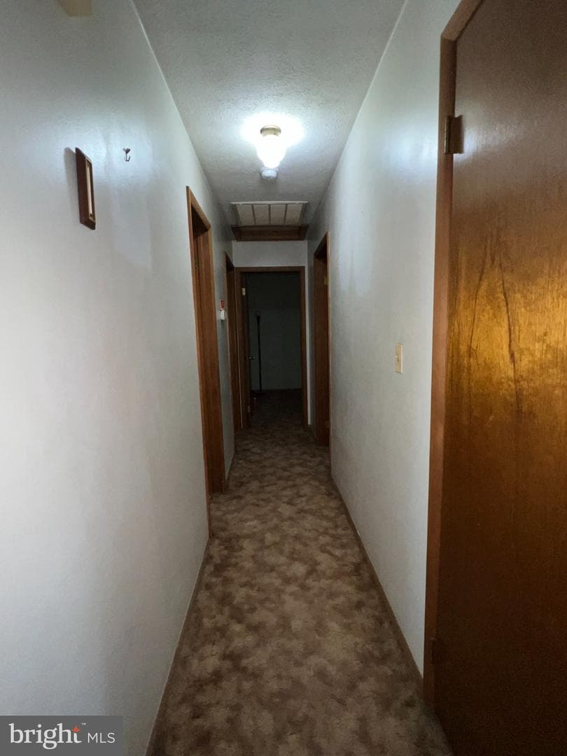 101 Fair Haven Street photo 12
