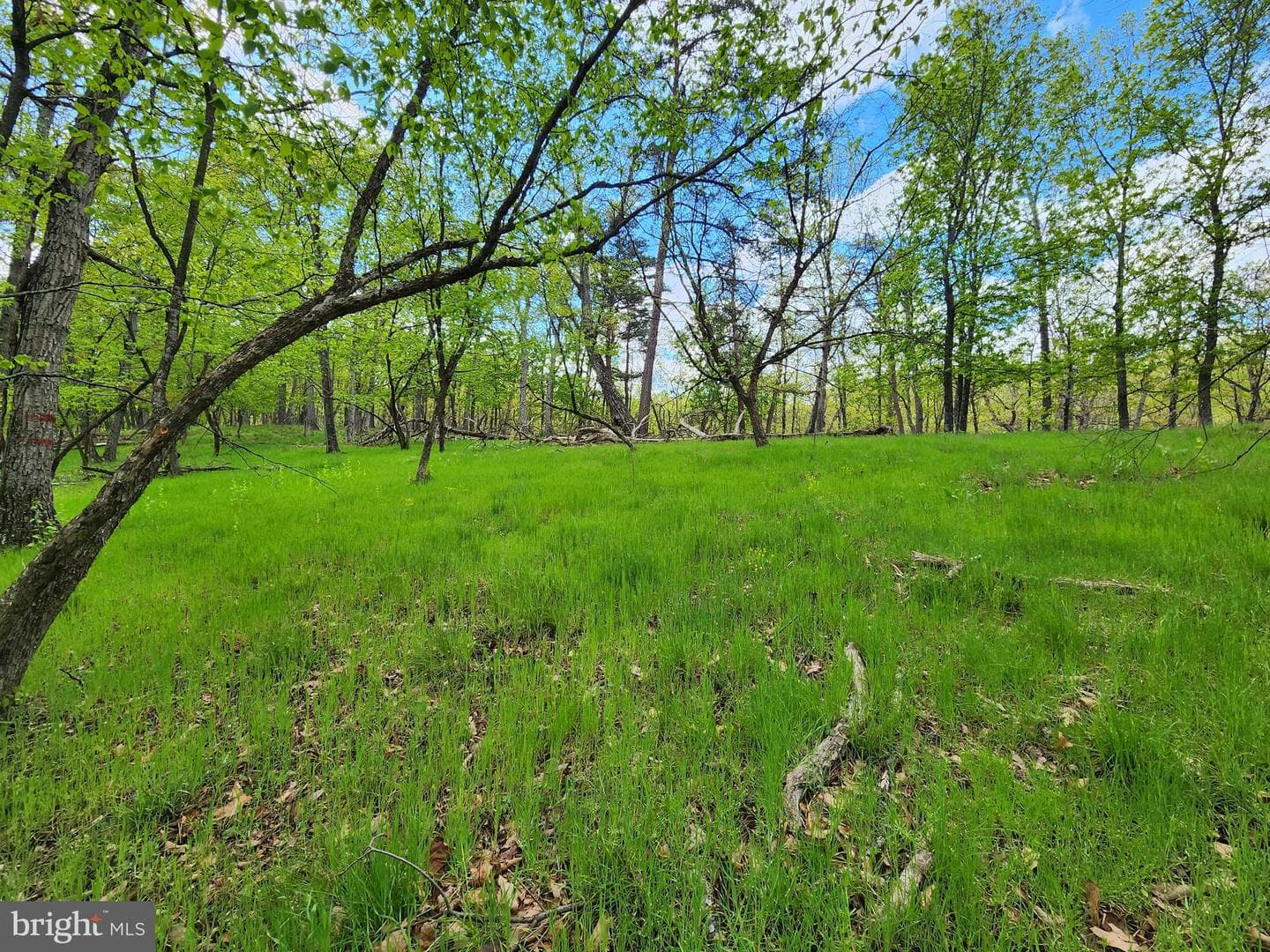 280 Champwood Ridge Court photo 35