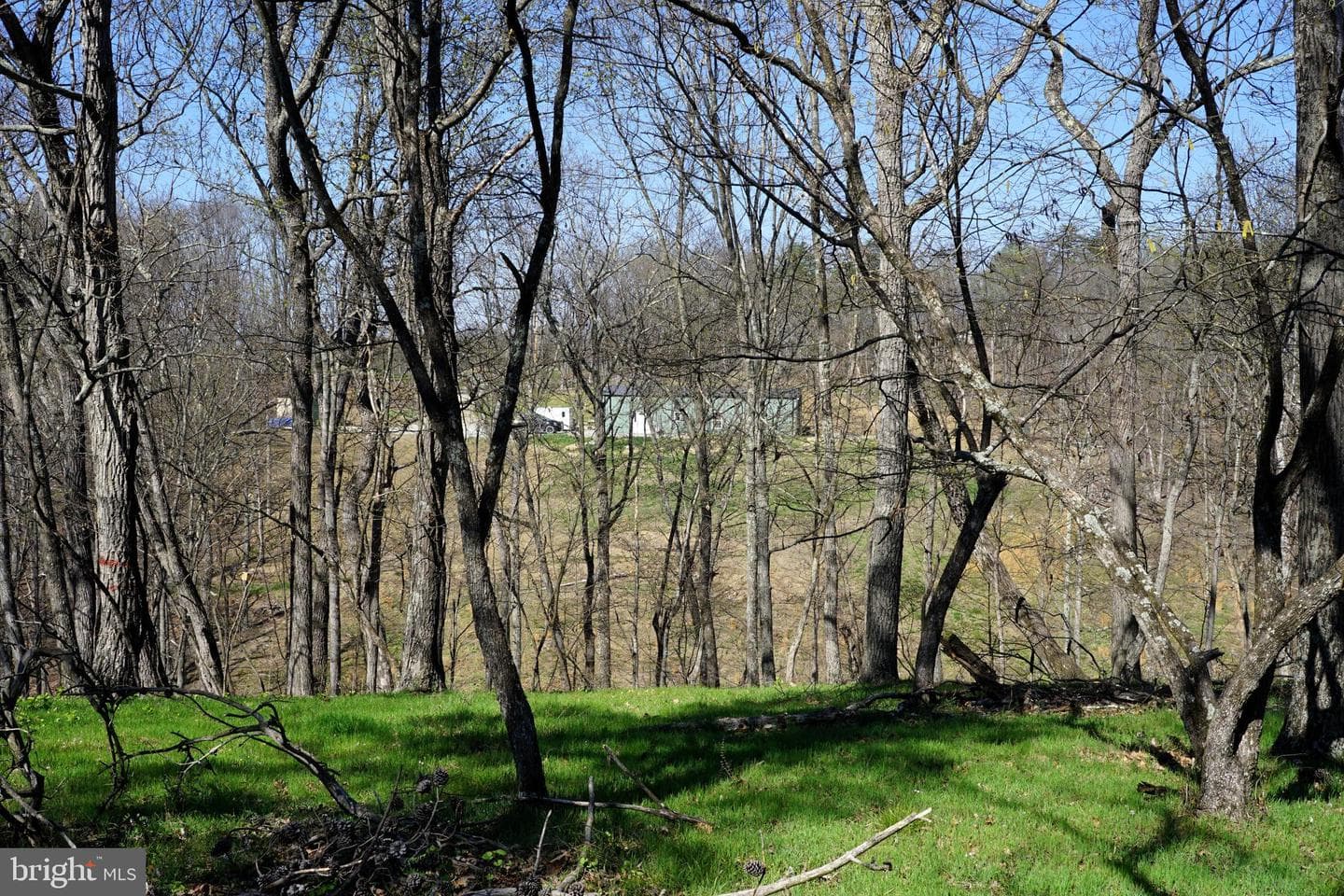 280 Champwood Ridge Court photo 4
