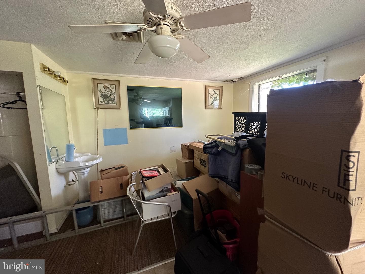 281 Misty Lane photo 30