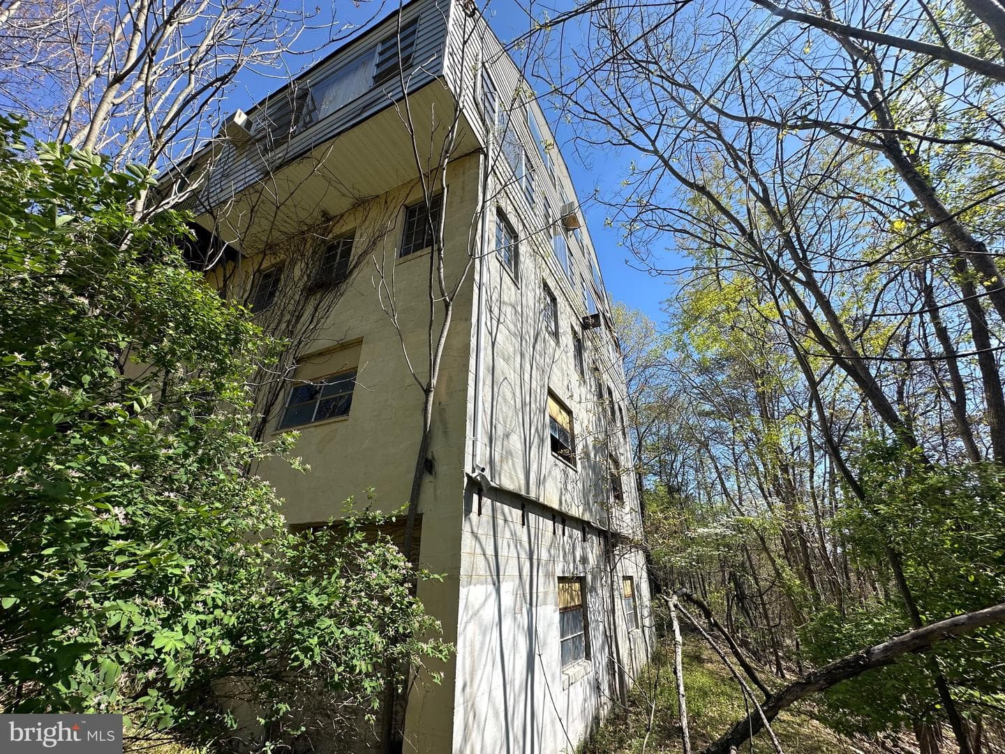 281 Misty Lane photo 6