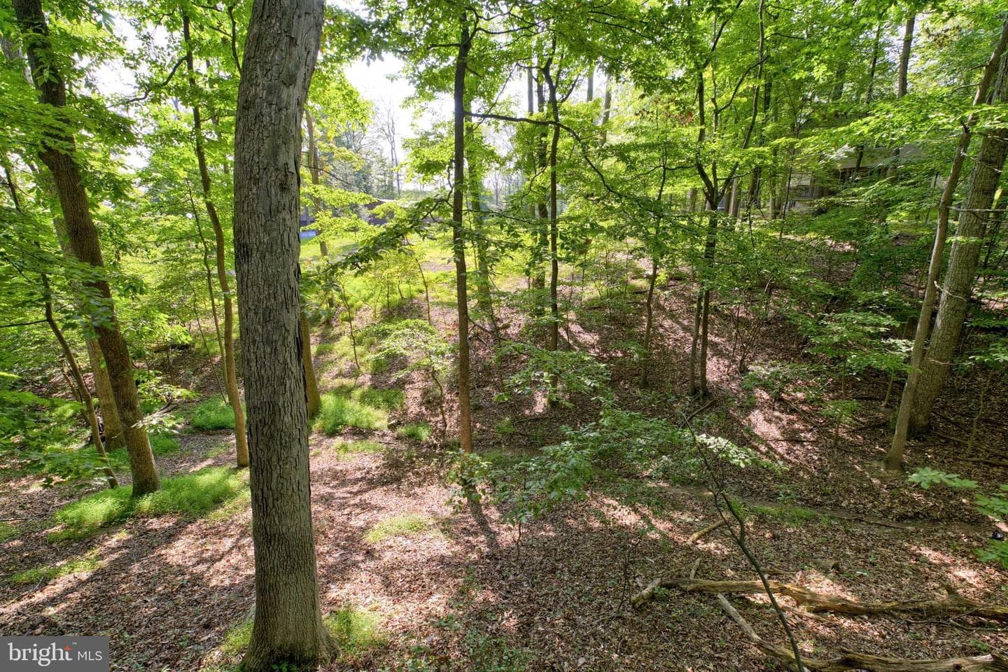 142 Redbud Lane photo 31