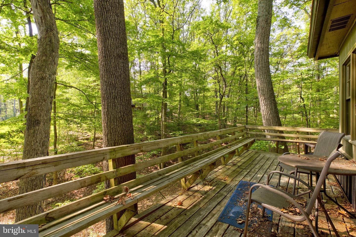 142 Redbud Lane photo 9