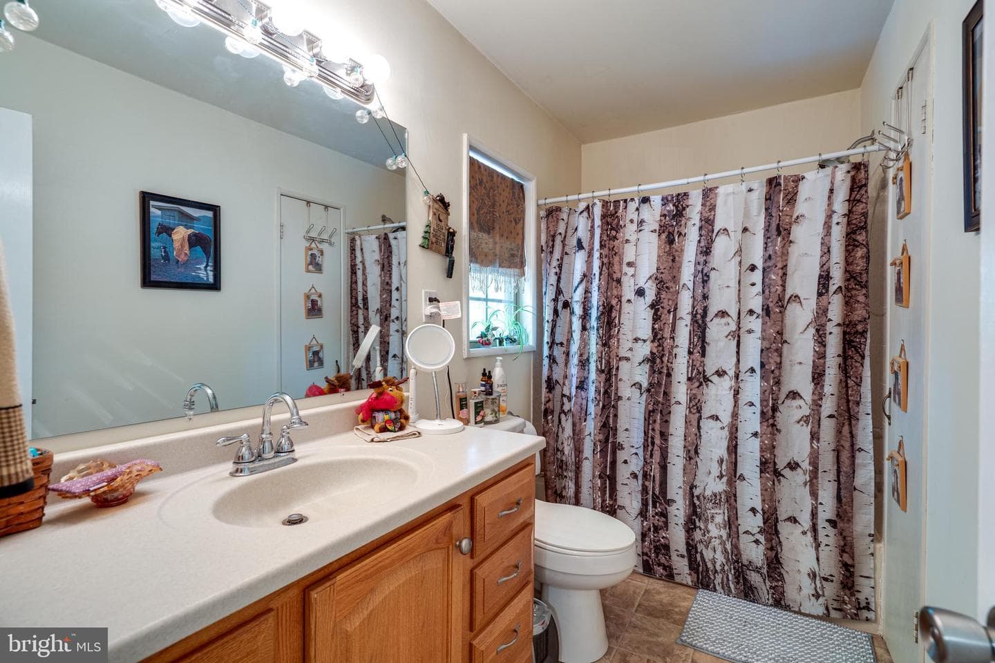 286 Trapper Ridge Lane photo 22