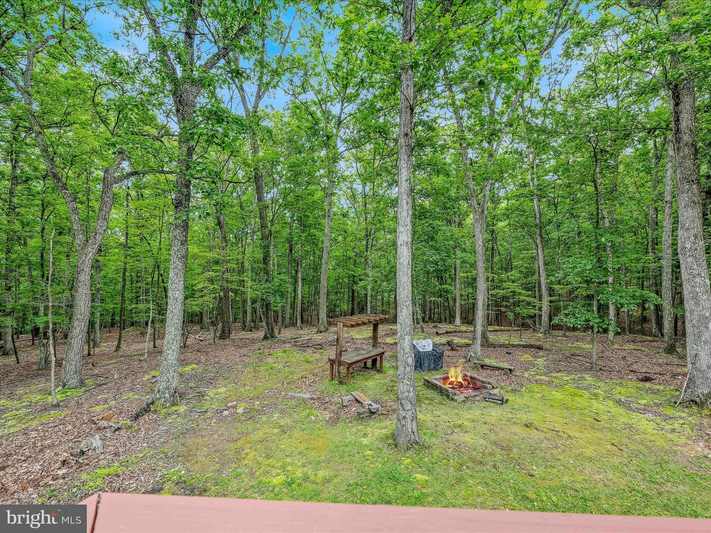 336 Honey Locust Lane photo 16