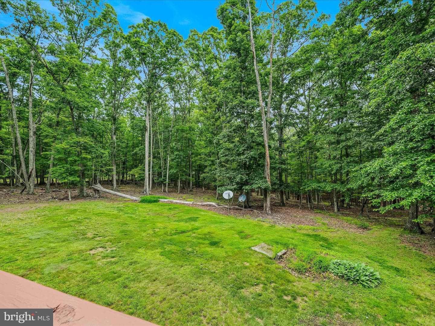 336 Honey Locust Lane photo 17