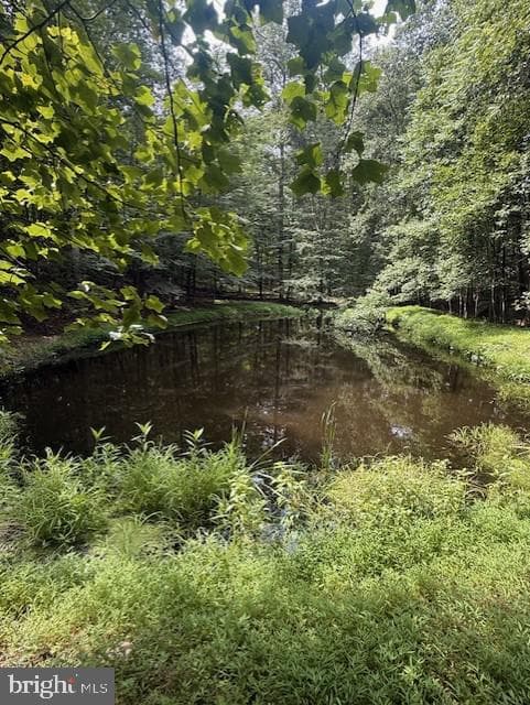 772 Audubon Road photo 47
