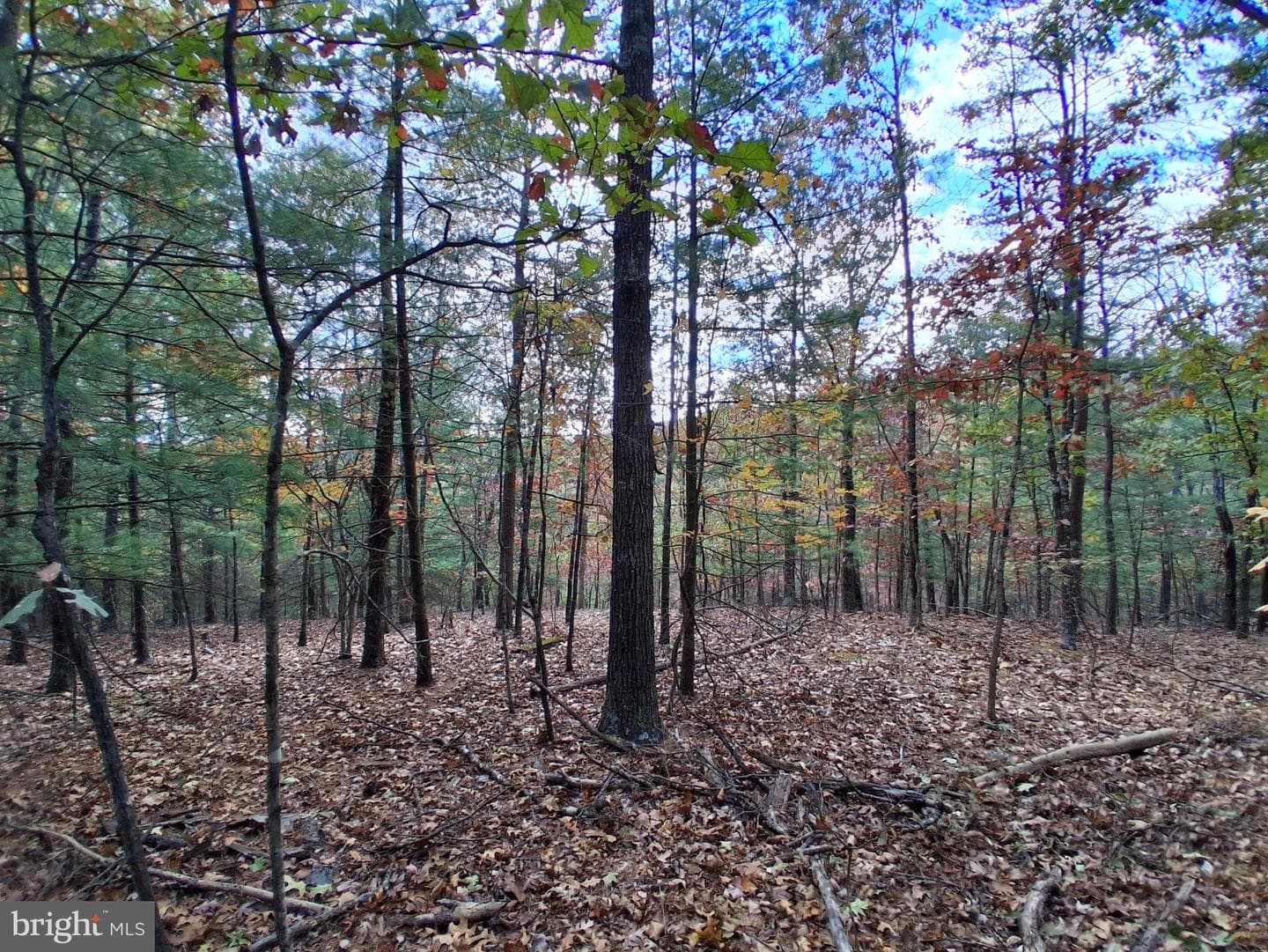 412 Hideaway Lane photo 31