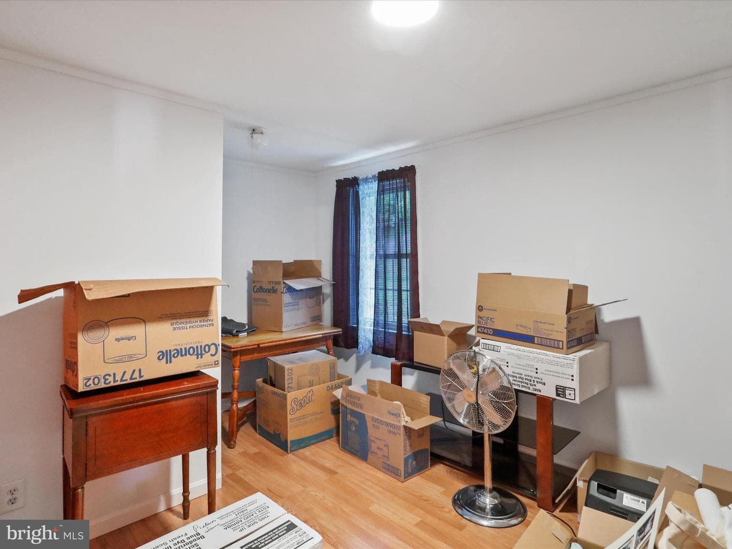 36 Concord Avenue photo 16