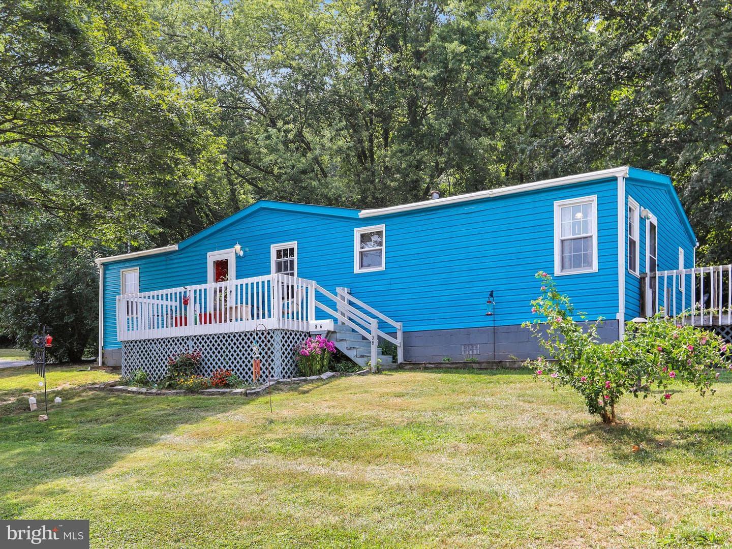 36 Concord Avenue photo 31