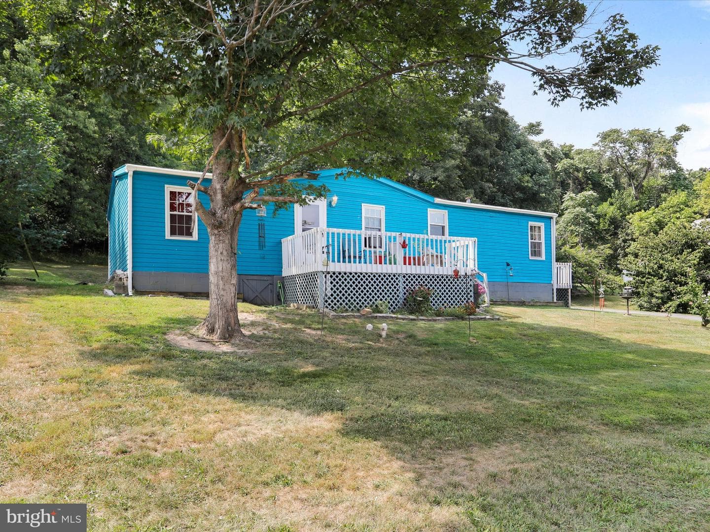 36 Concord Avenue photo 33