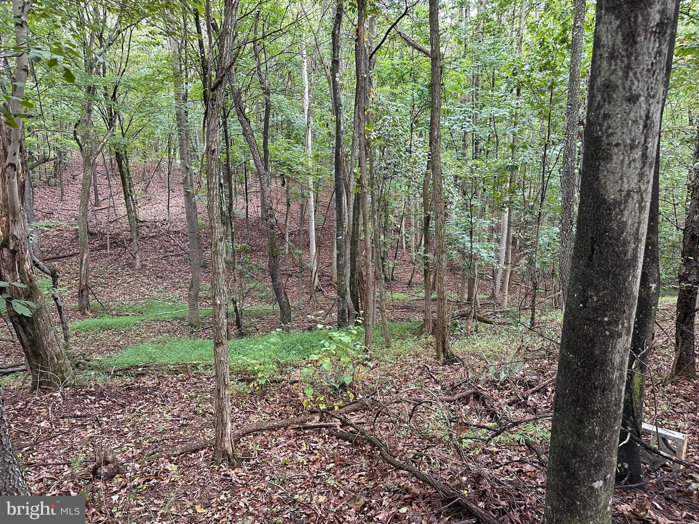 564 Shade Lane photo 44