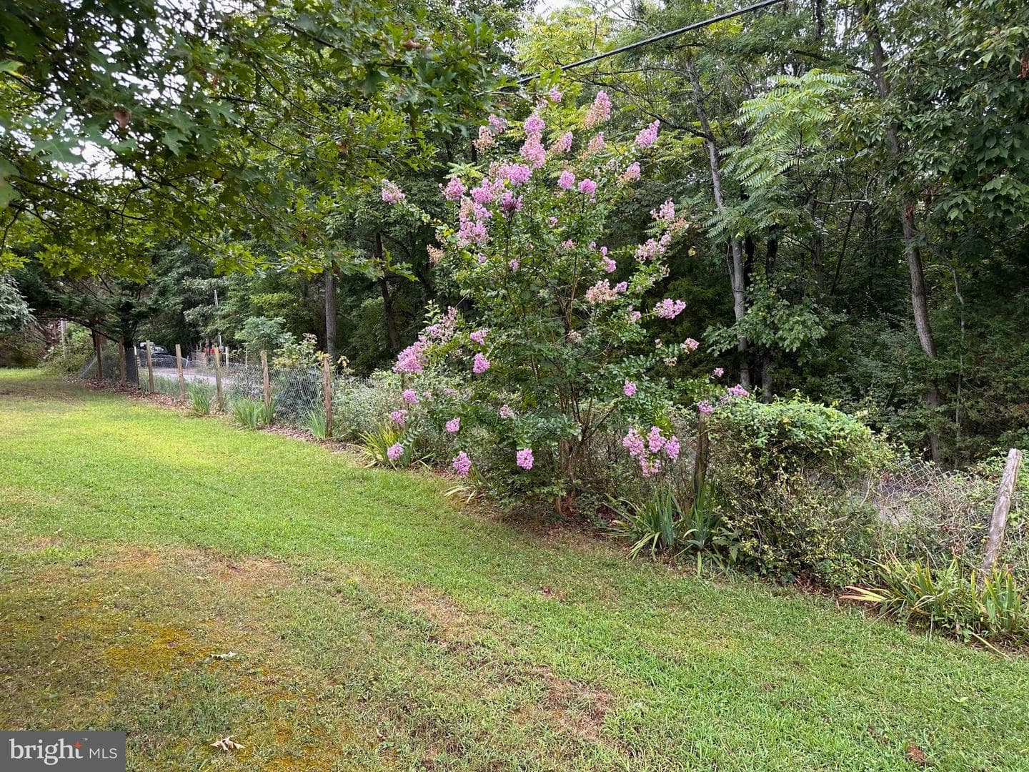 564 Shade Lane photo 45
