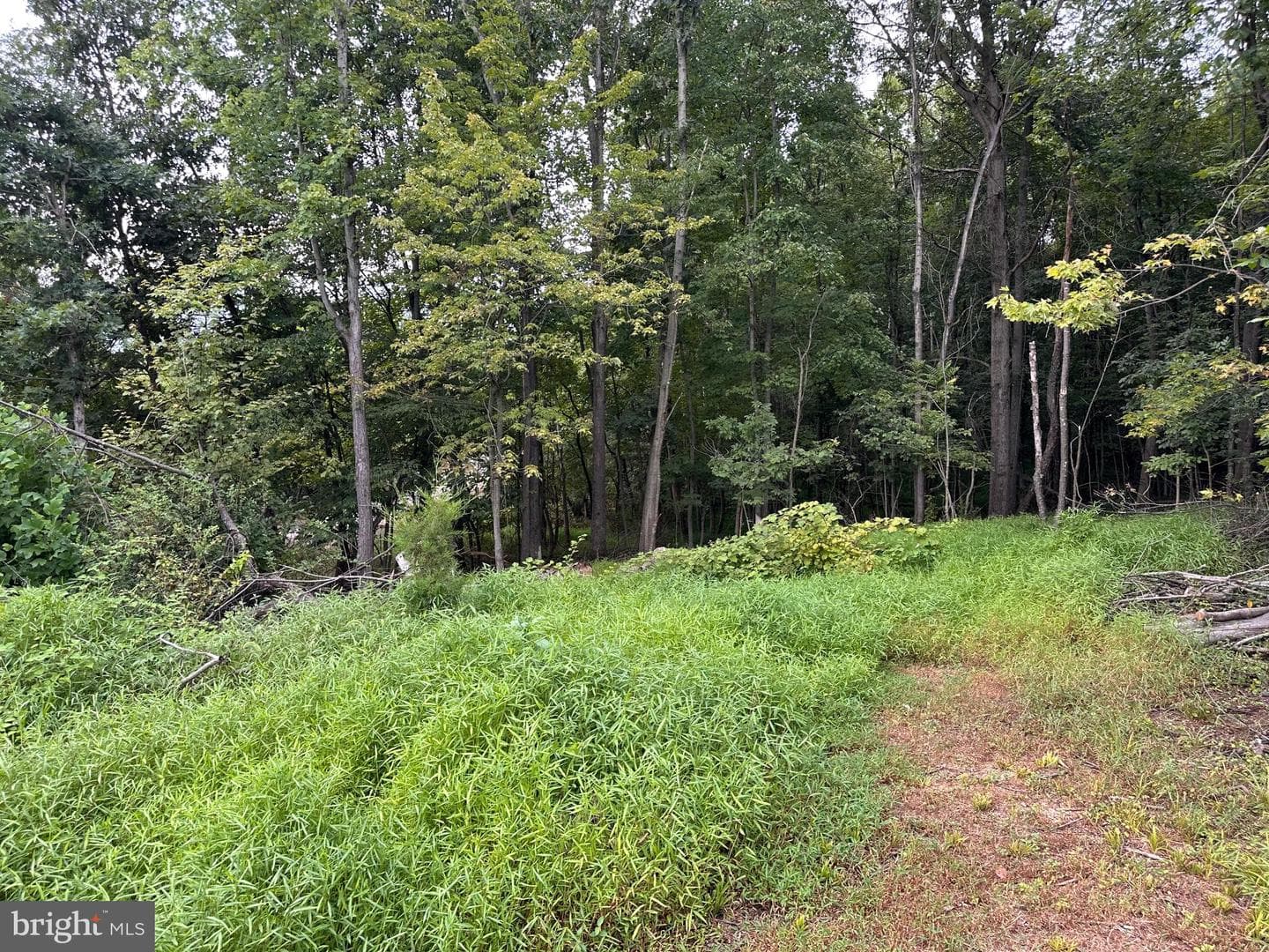 564 Shade Lane photo 46
