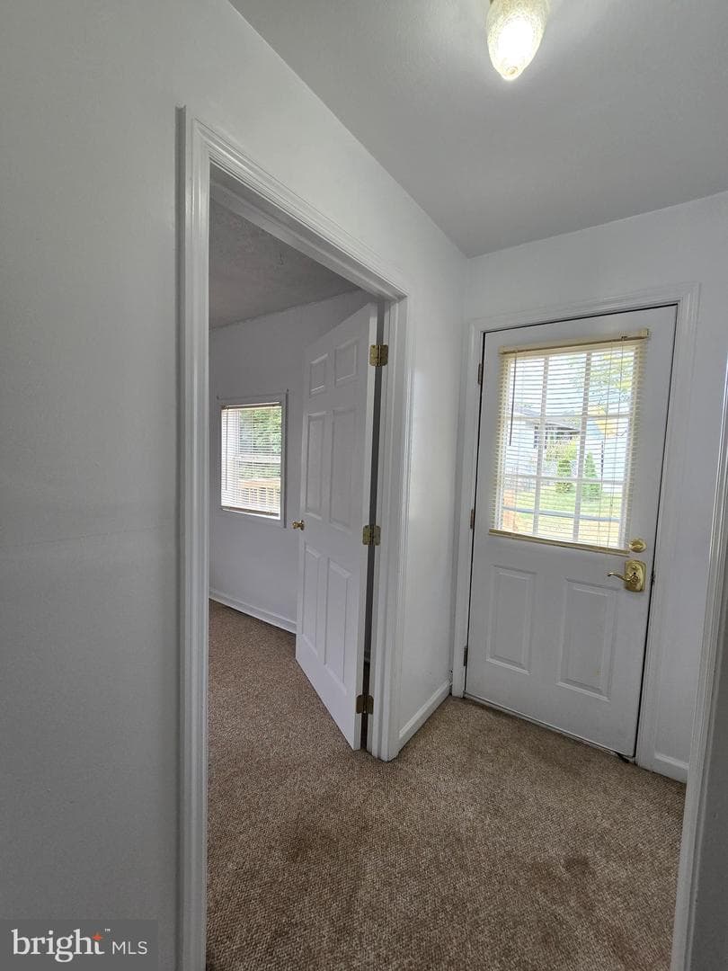 240 Ewing Street photo 18
