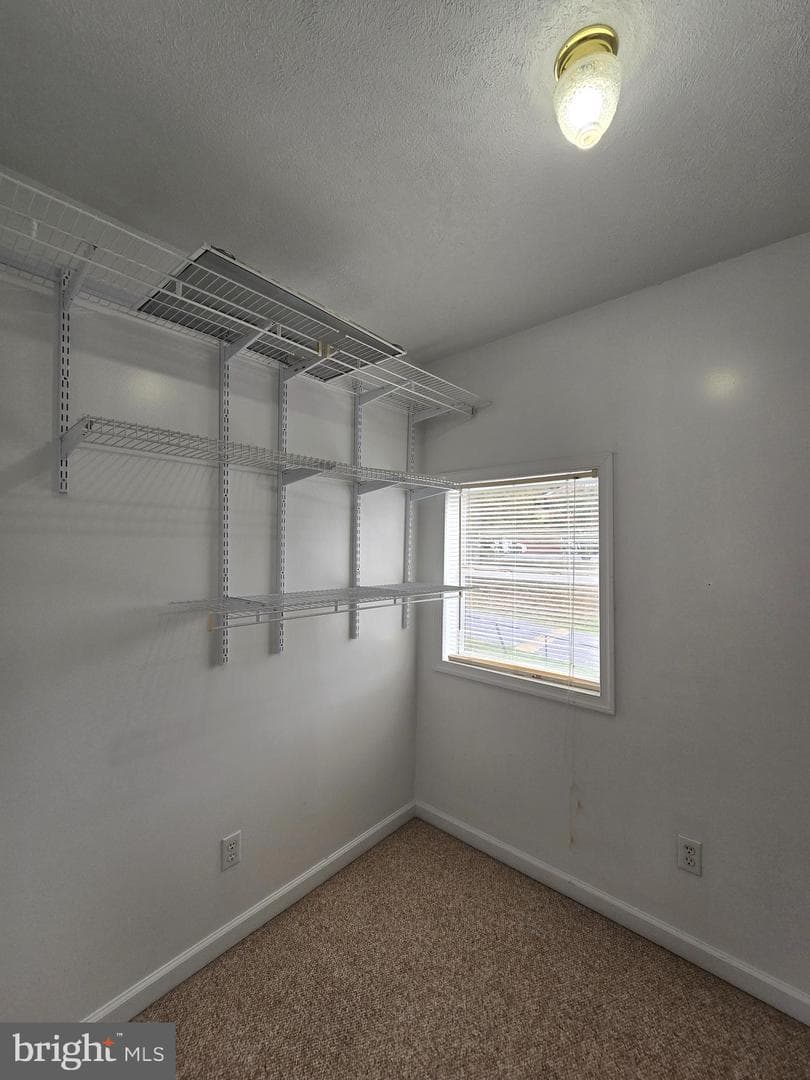 240 Ewing Street photo 22